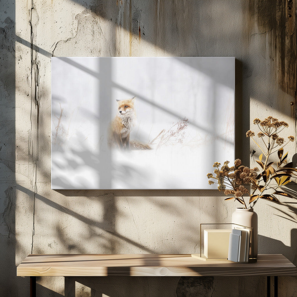 Waiting... | Canvas