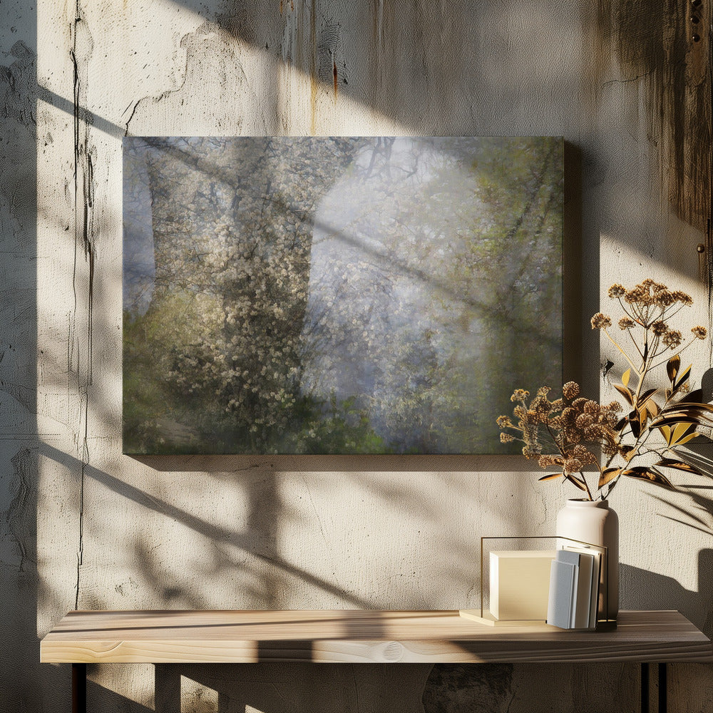 Blossom | Canvas