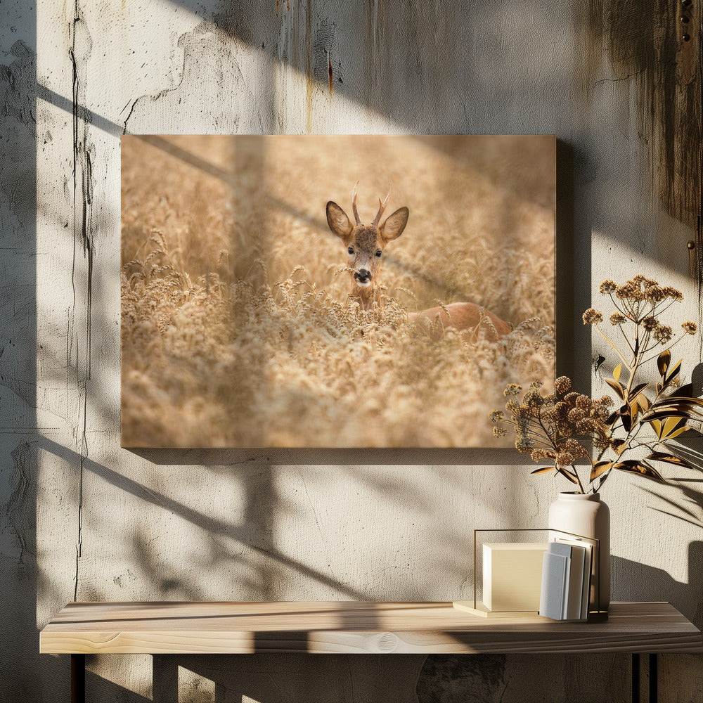 Hirsch auf dem Feld | Leinwand