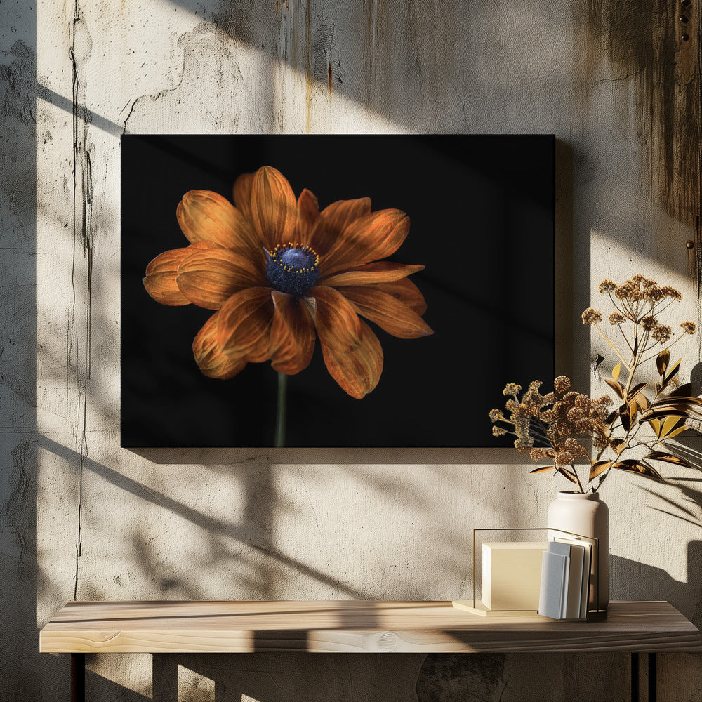 Rudbeckia | Leinwand