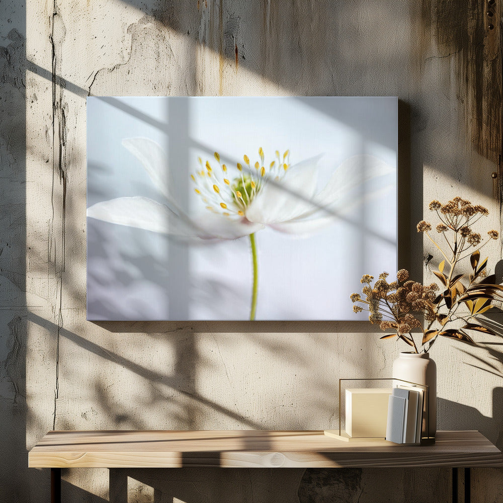 nemorosa | Leinwand