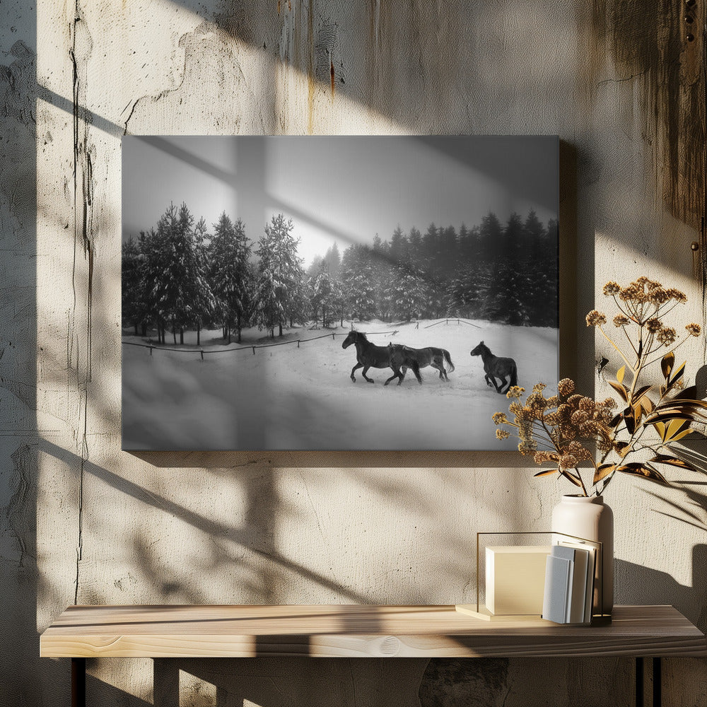 Ohne Titel | Leinwand