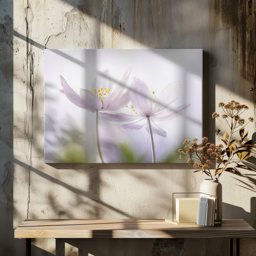 ~Nemorosa~ | Leinwand
