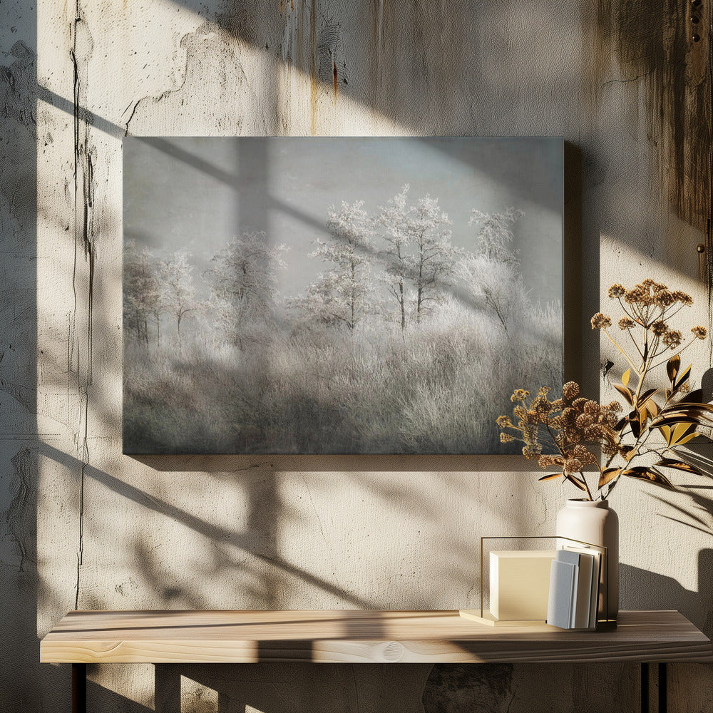 Cold morning | Canvas