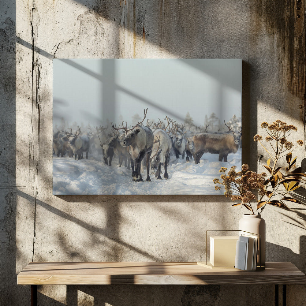Rentiere | Leinwand