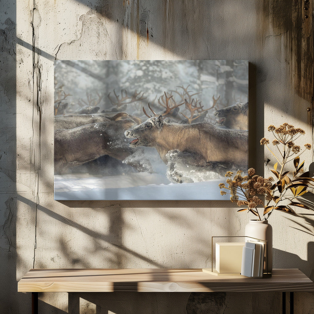 Rentiere III | Leinwand