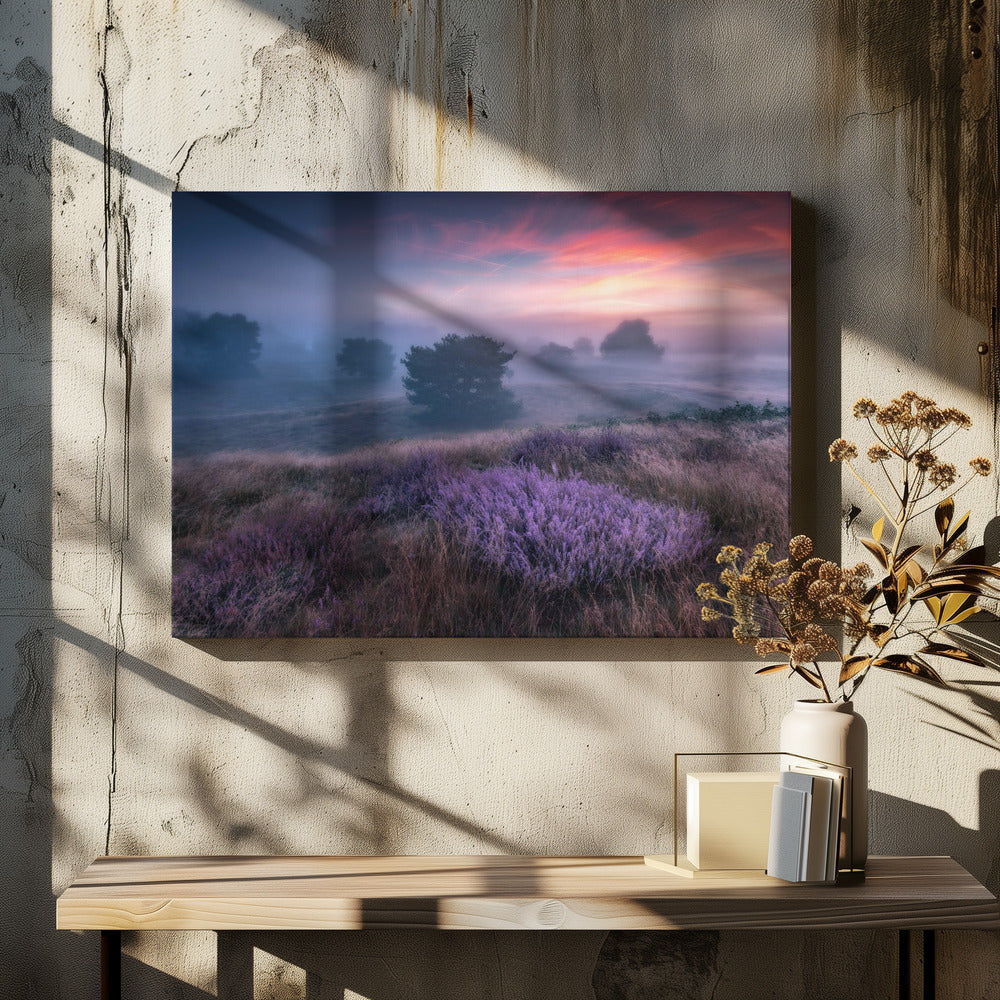 "the colors of heather" | Canvas