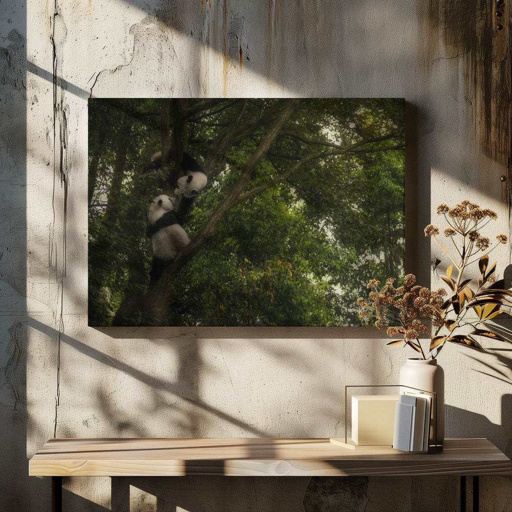 Panda | Leinwand