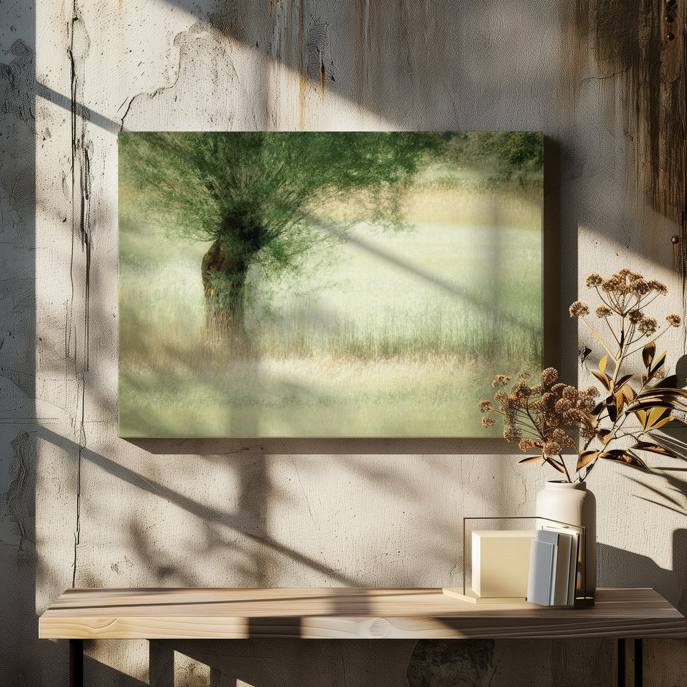 Weide | Leinwand