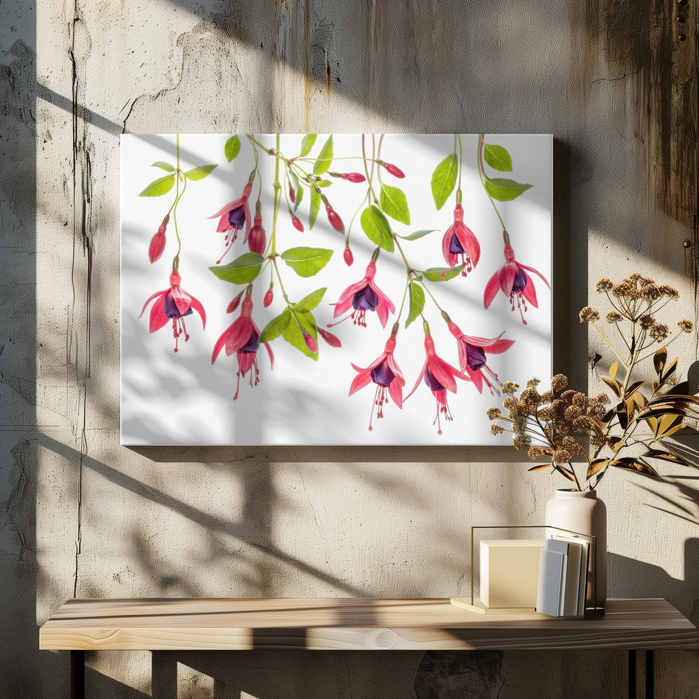 ~ Fuchsie ~ | Leinwand