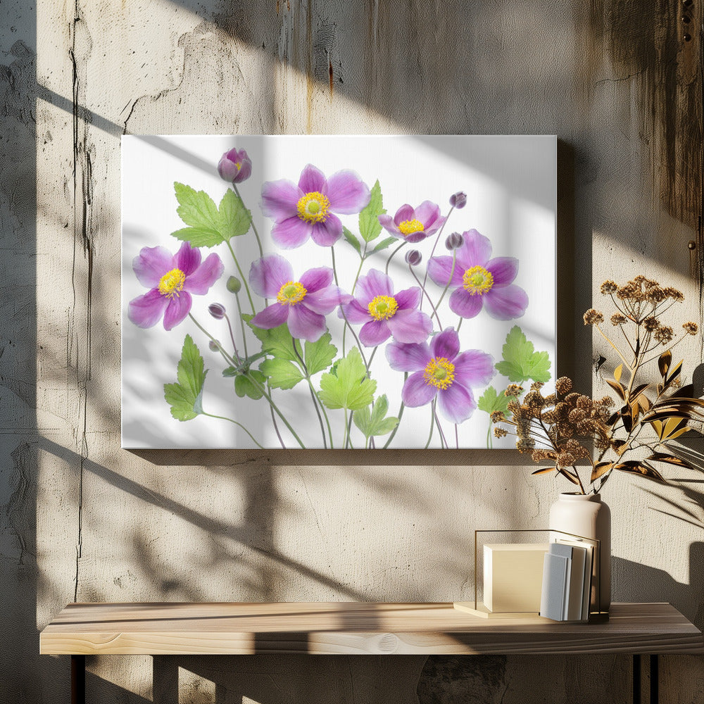 Anemone 'Hadspen Abundance' | Leinwand