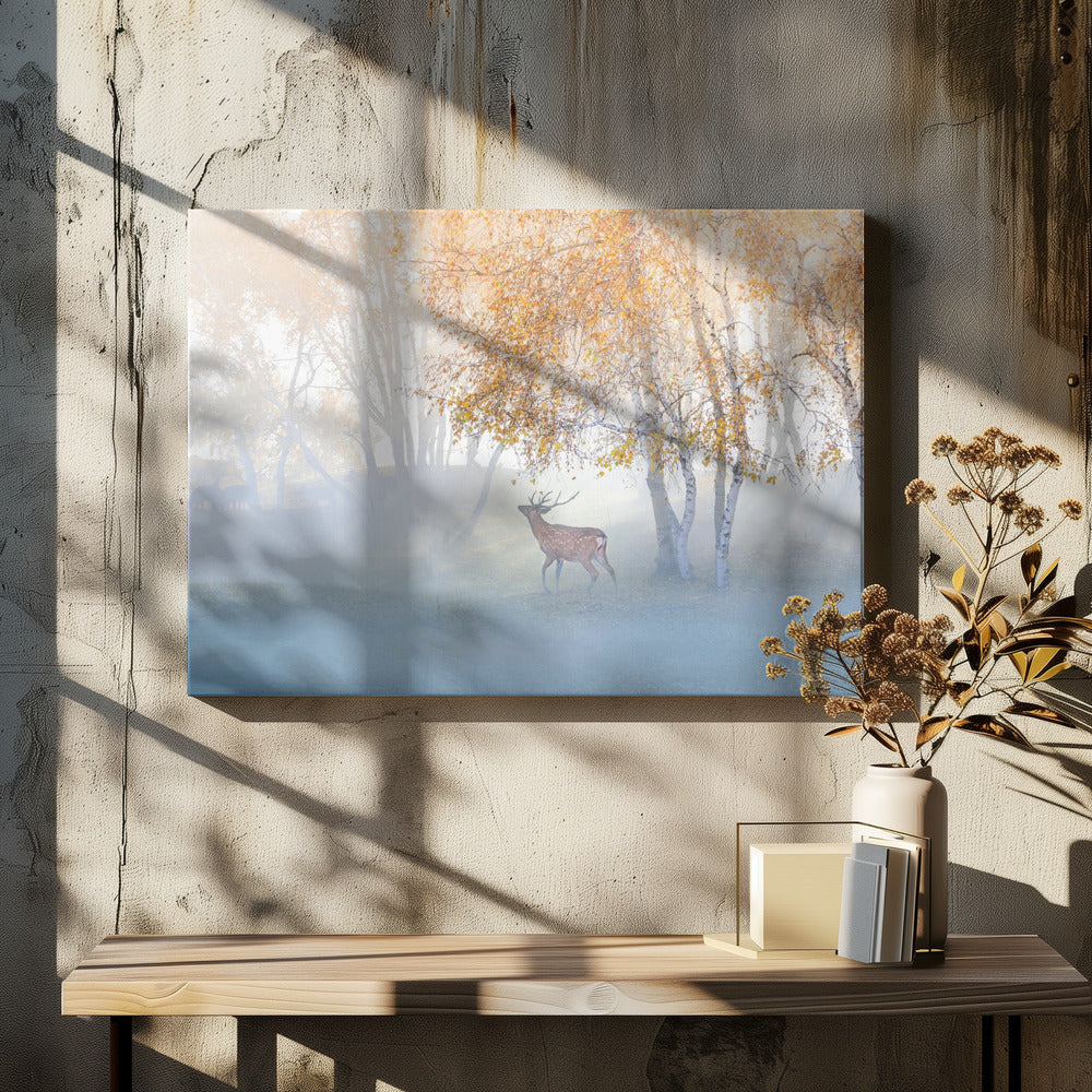 Elch im Nebel verloren | Leinwand