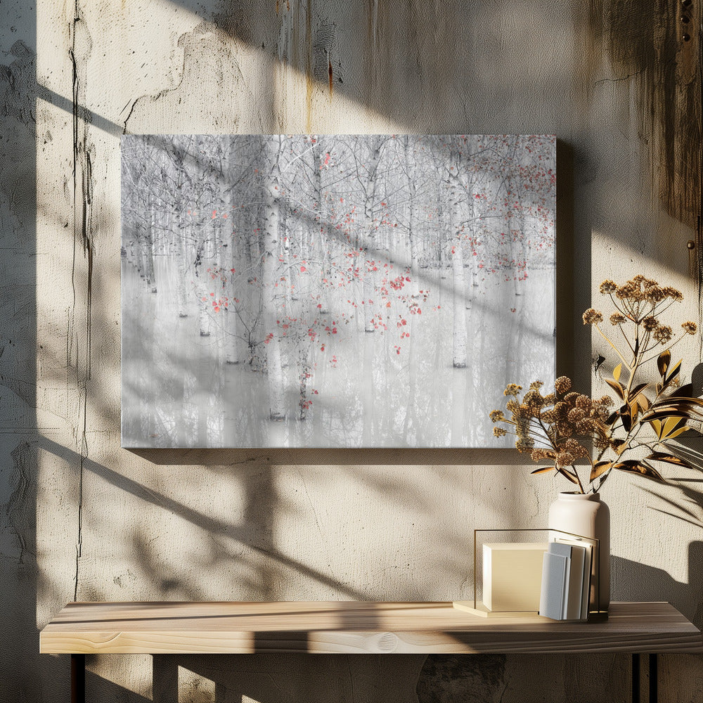 Red & white | Canvas