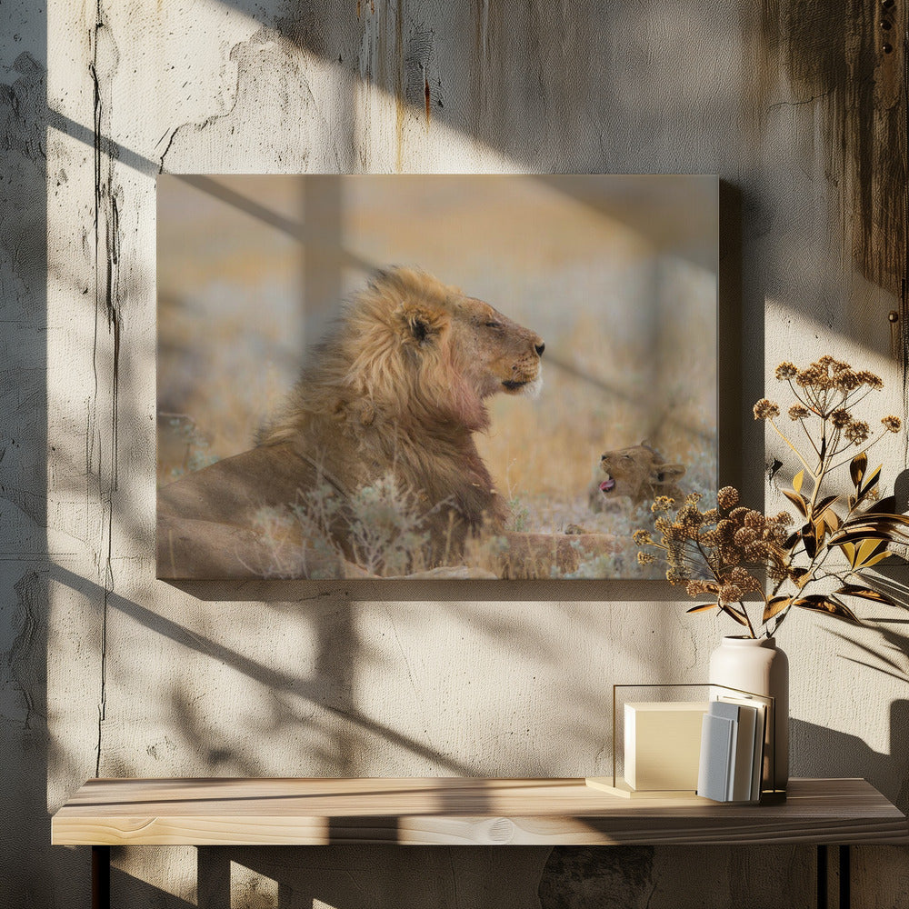 Male lion with cub | Canvas