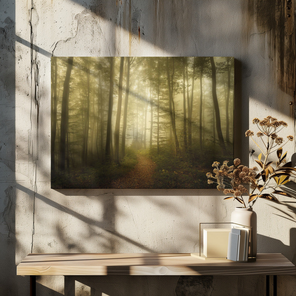 Charme des Vergänglichen | Leinwand