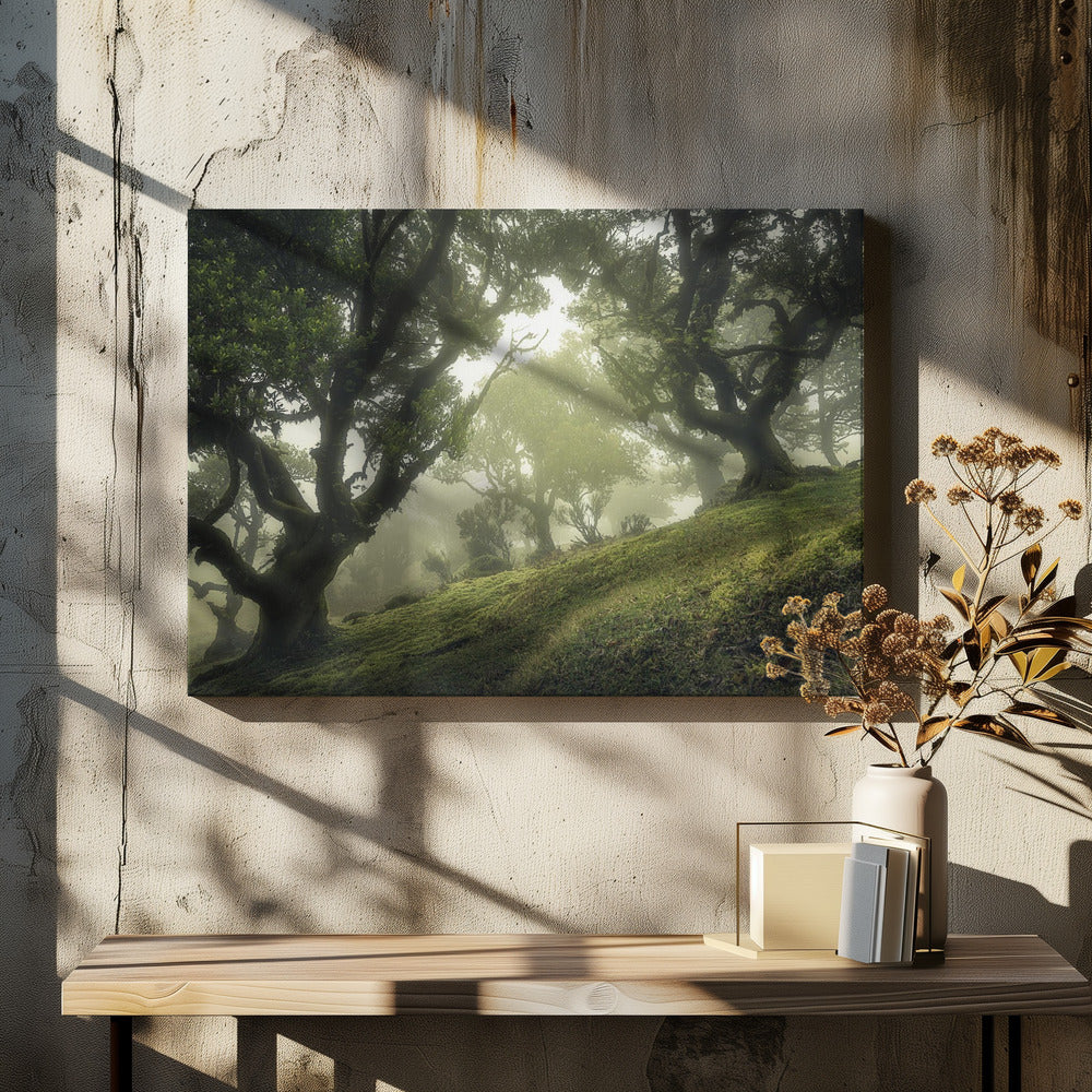 Zauberwald | Leinwand
