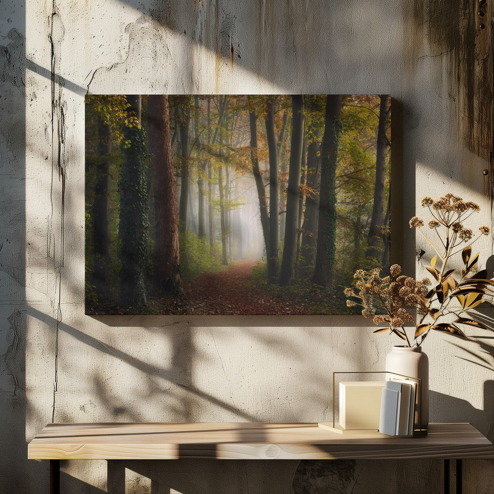 Bunter Herbstwald | Leinwand