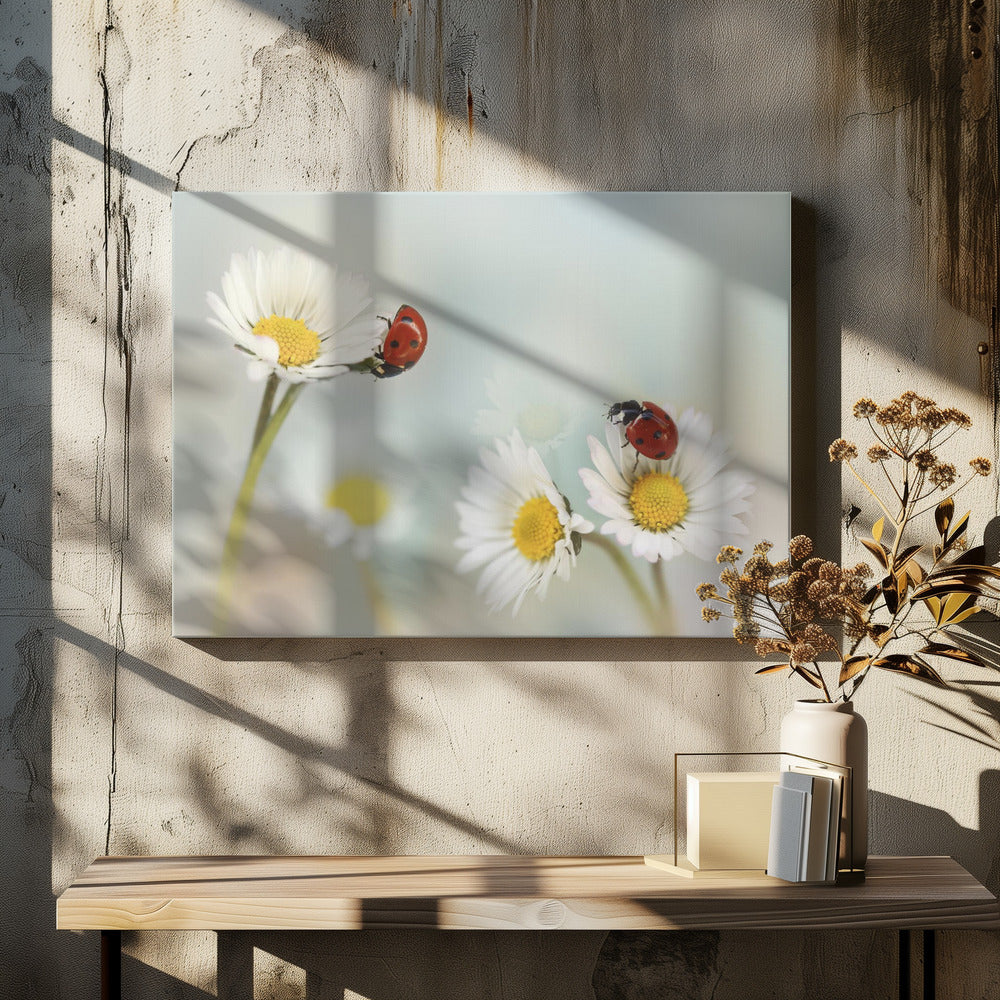 Frühling.... | Leinwand