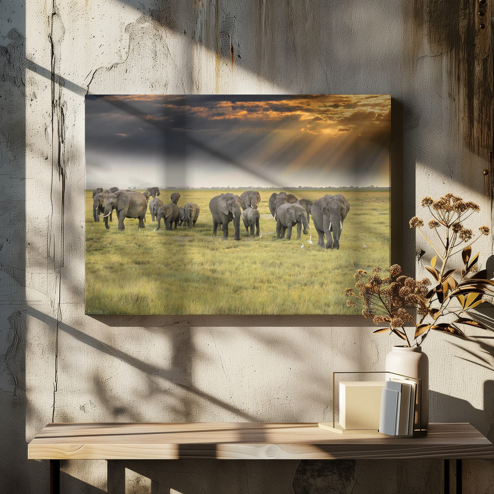 Aus Liebe zu Elefanten | Leinwand