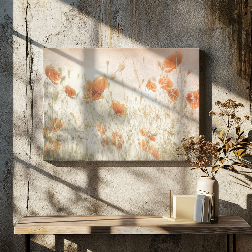 Mohnblumen auf dem Feld | Leinwand