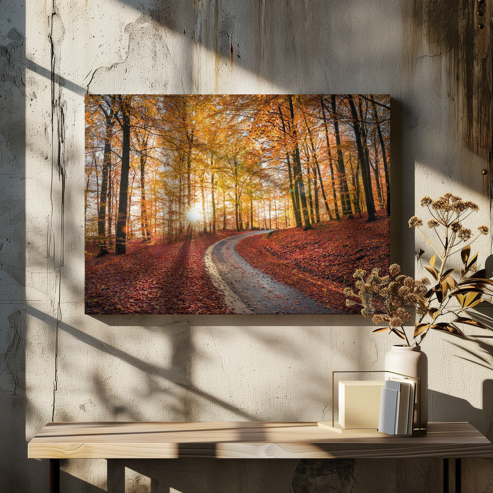 Road in Söderåsen nationalpark, Sweden | Canvas