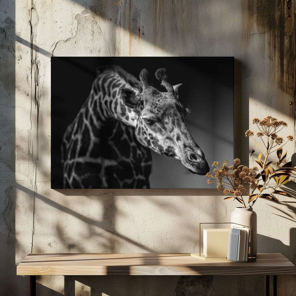 Giraffe | Leinwand