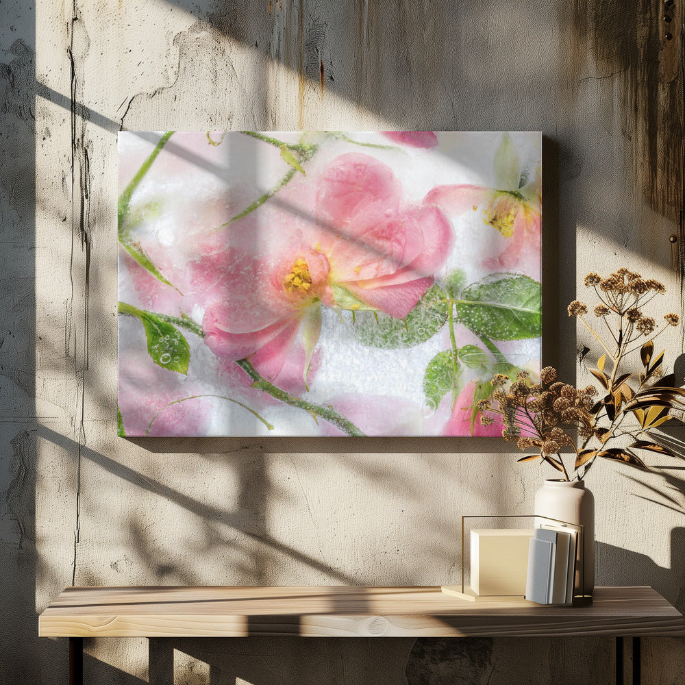 Rosa | Leinwand