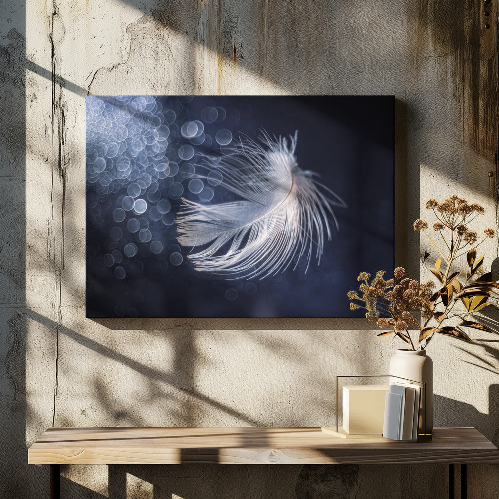 Placidity | Canvas
