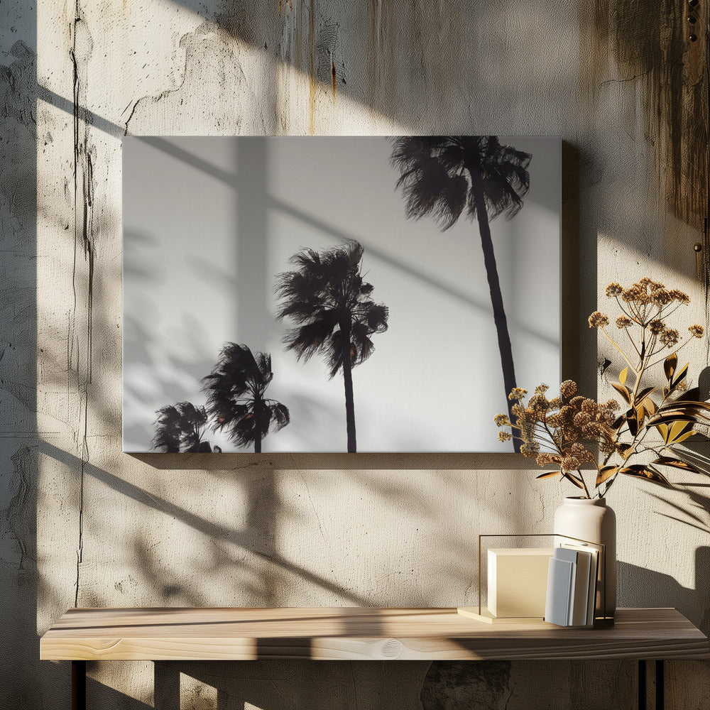 Palme_004 | Leinwand