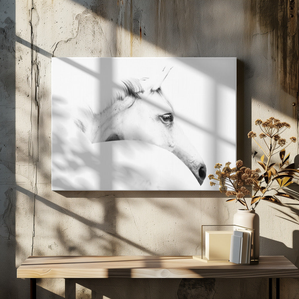 Pferd und Minimalismus | Leinwand