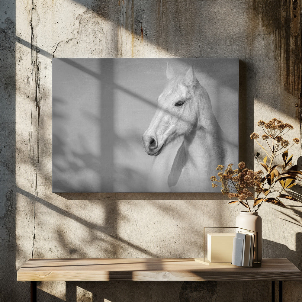 The Grey Horse | Canvas