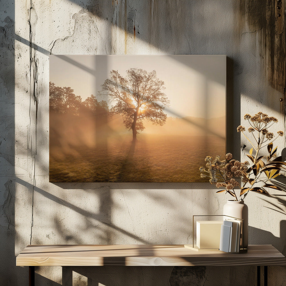 Lonely tree | Canvas