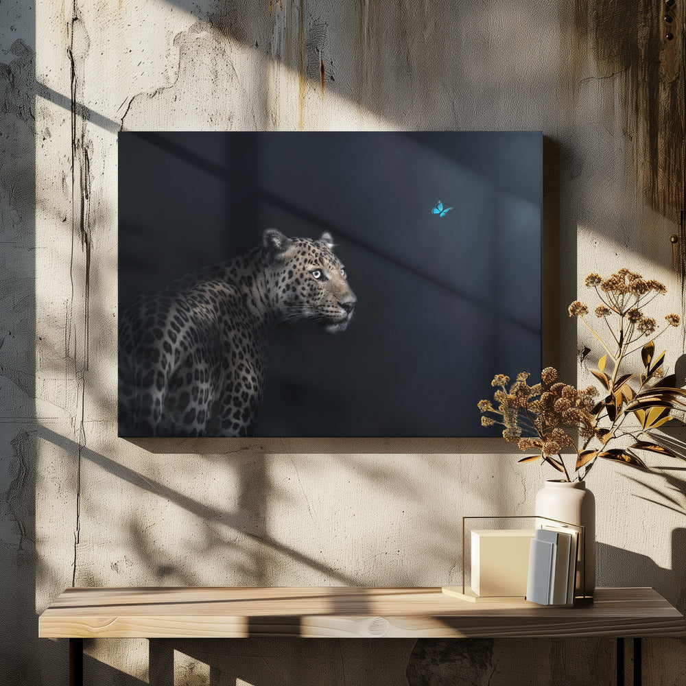 Imagination | Canvas
