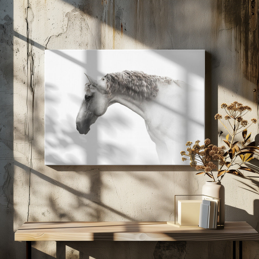 Curly hair… | Canvas
