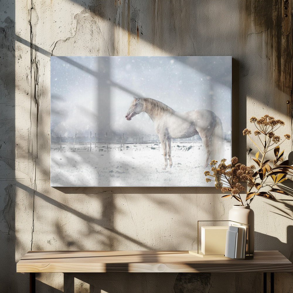 Let it snow... | Canvas