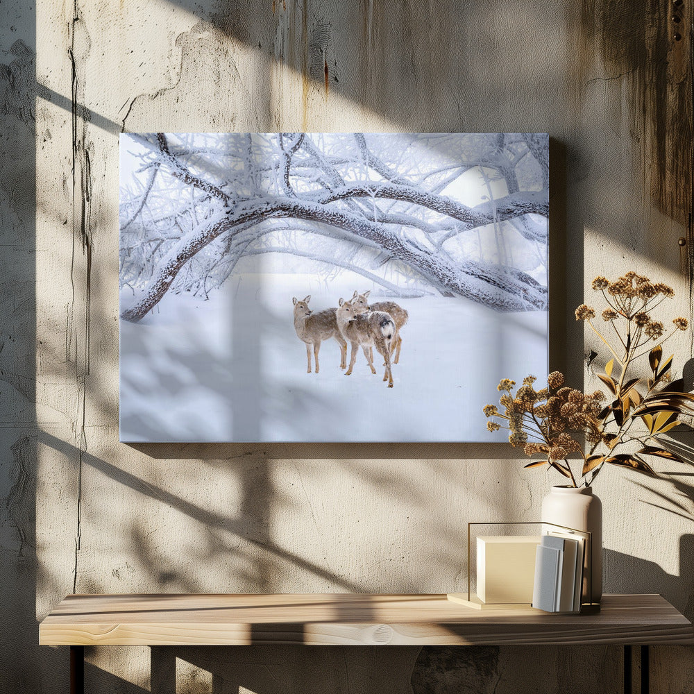 Deers' Walk in Snow | Canvas