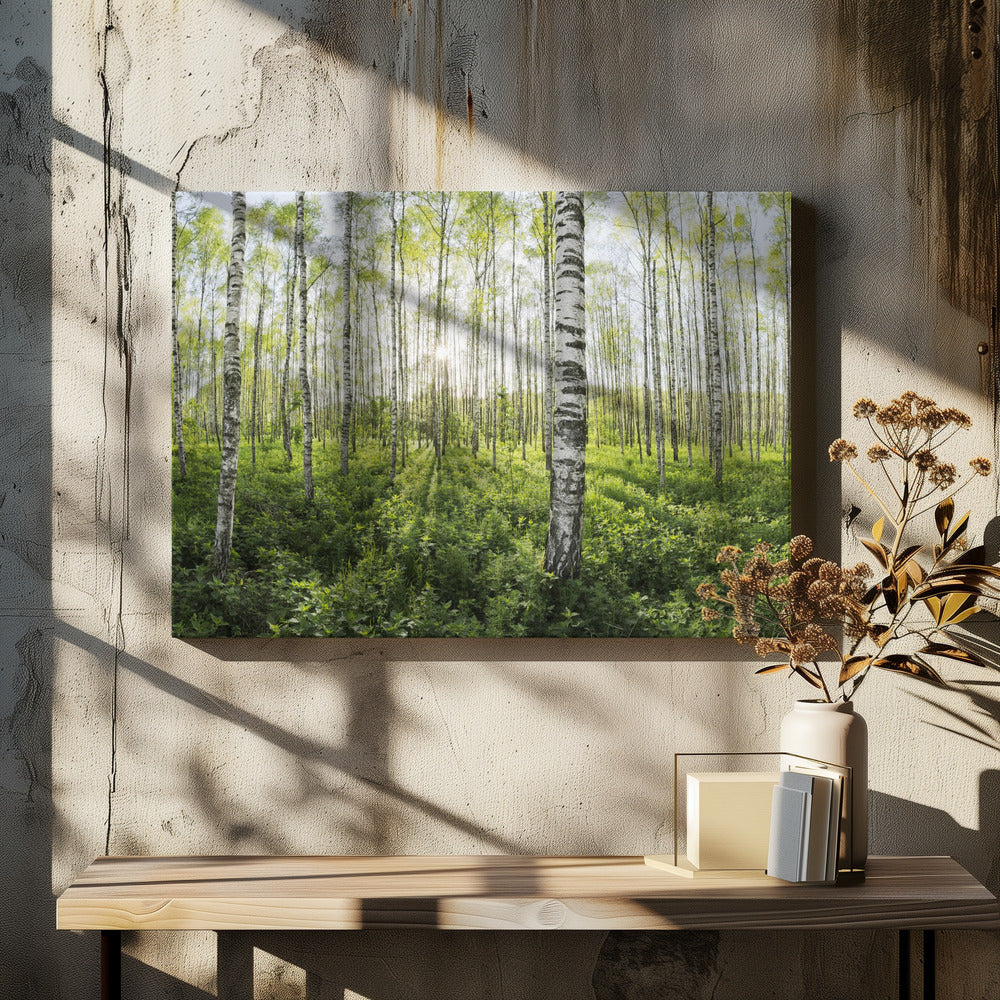 Frühling im Birkenwald | Leinwand