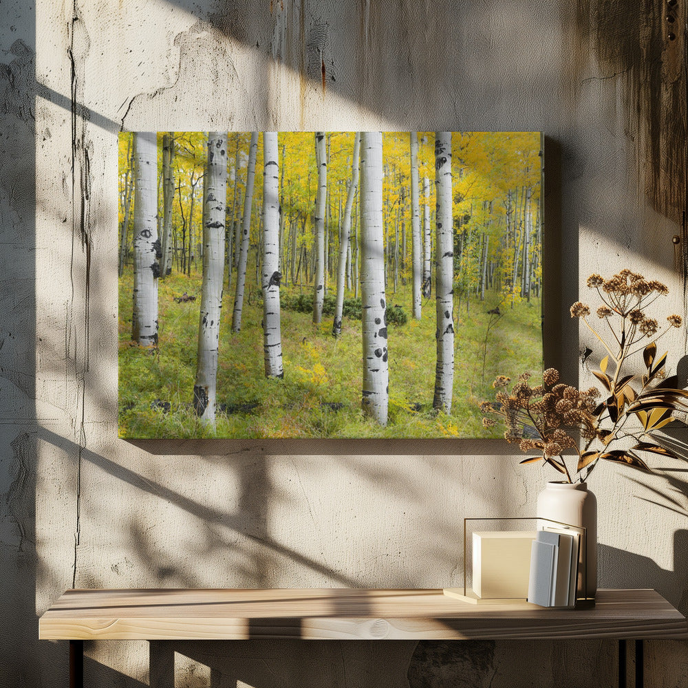 Gelbe Birken | Leinwand