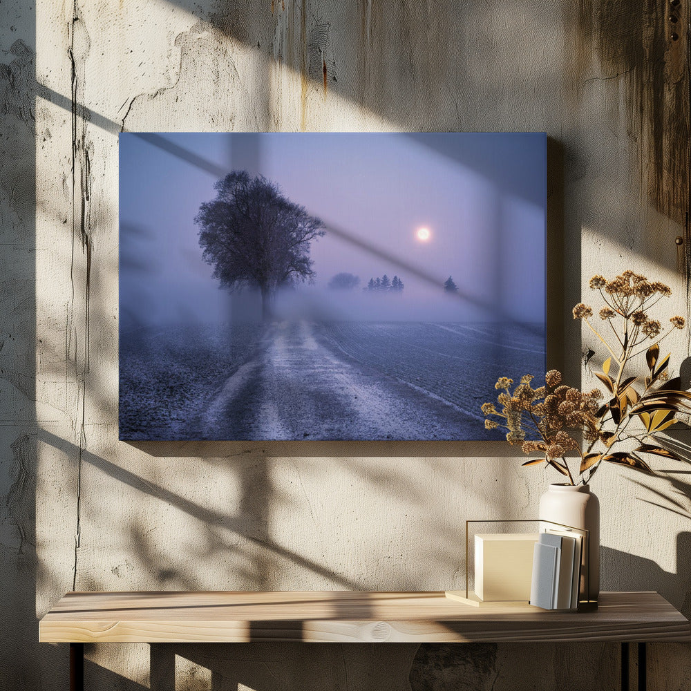 Mondbeleuchteter Pfad | Leinwand