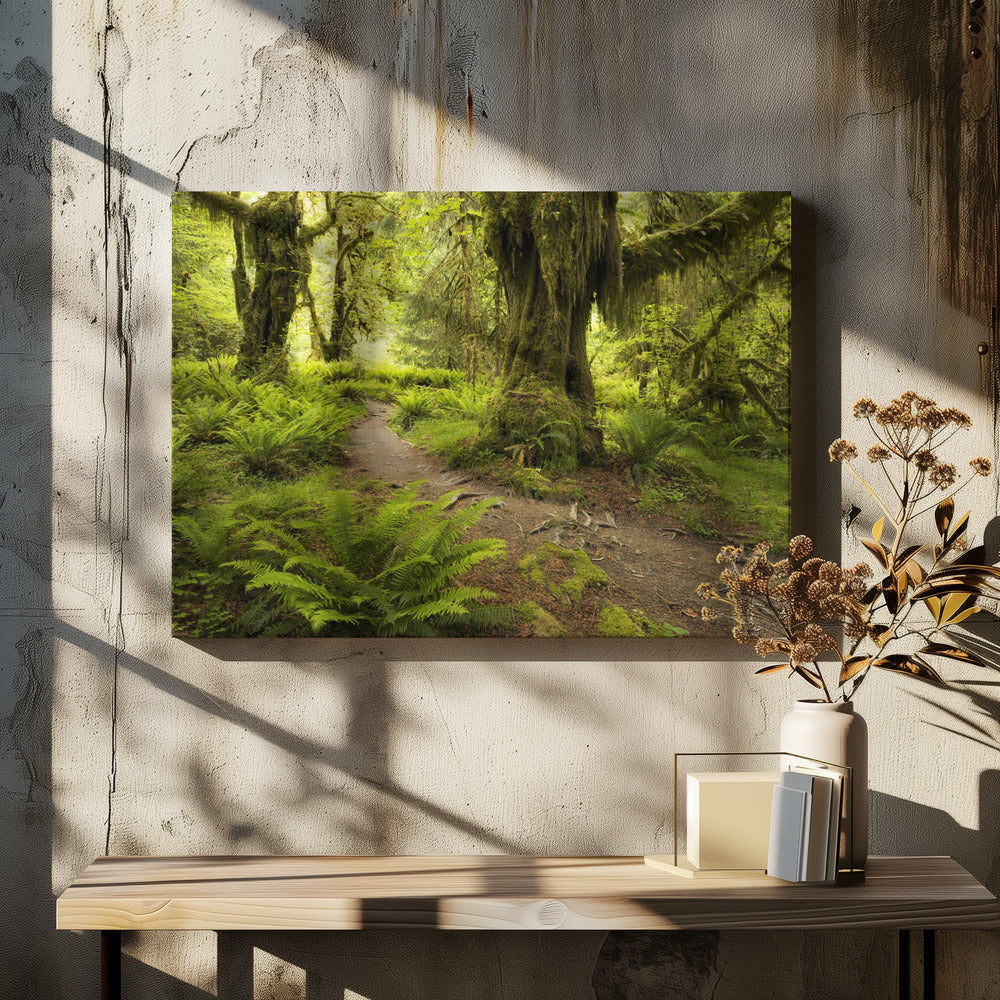 Hoh Regenwald | Leinwand