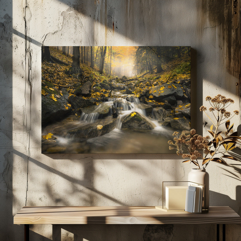 Herbststrom | Leinwand