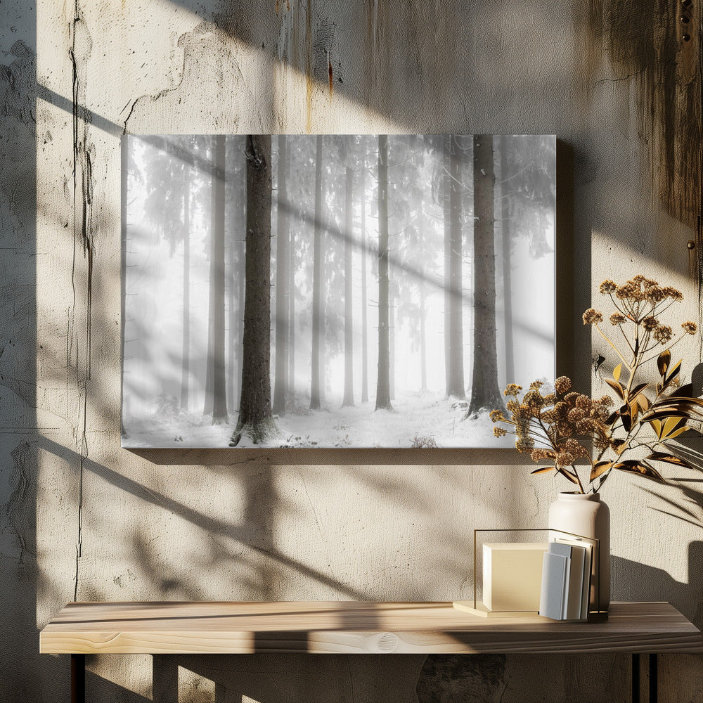 Winter Forest | Canvas