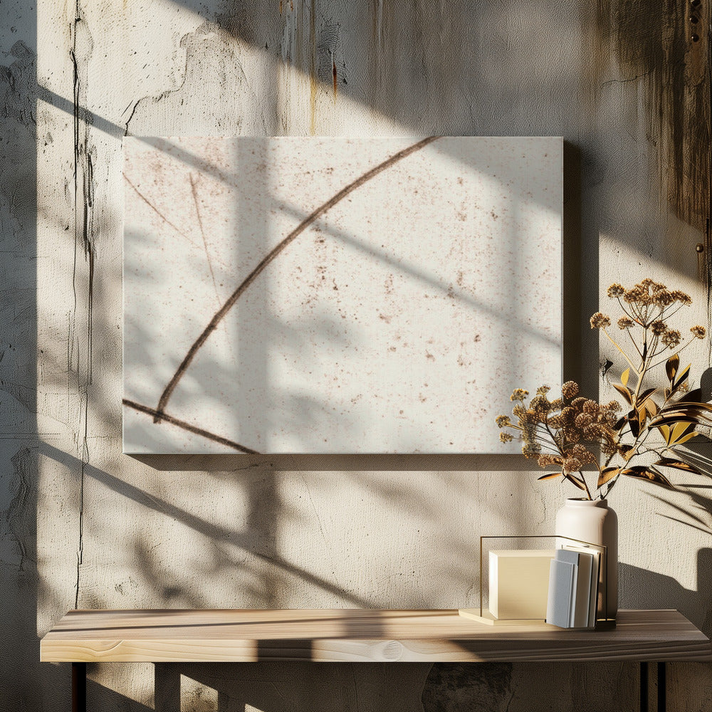 Minmod No1 | Canvas