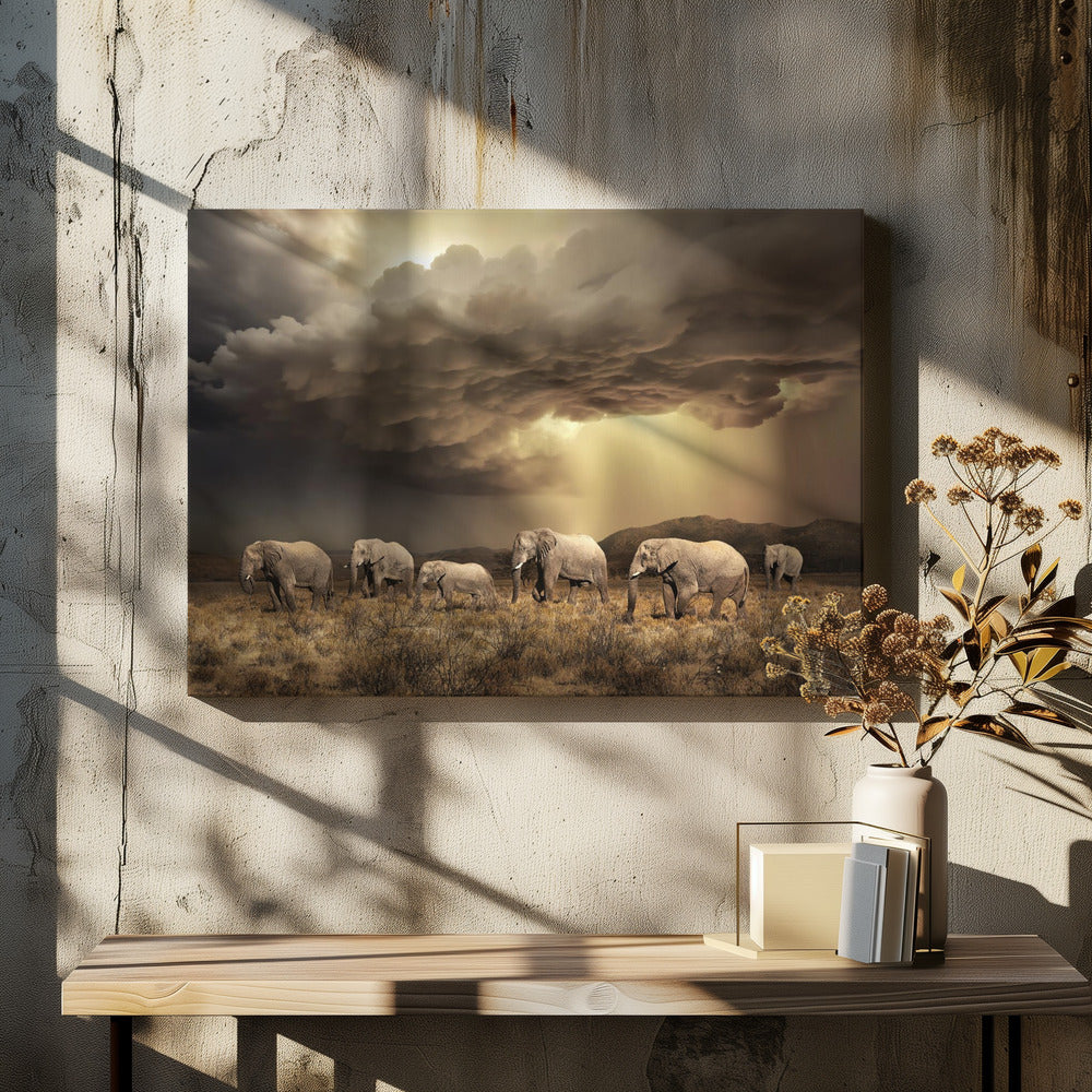 FreeElephants | Leinwand