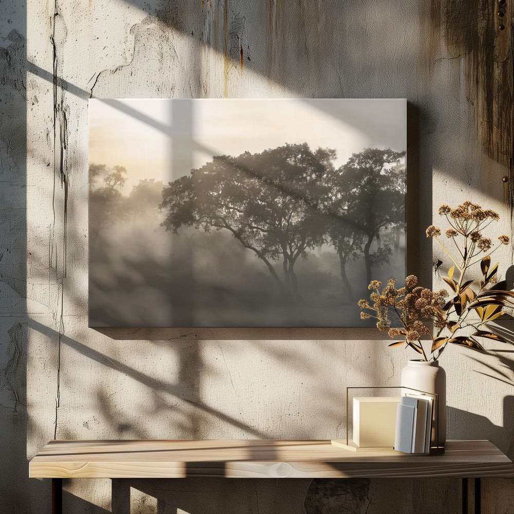 SAVANA SONNENAUFGANG | Leinwand