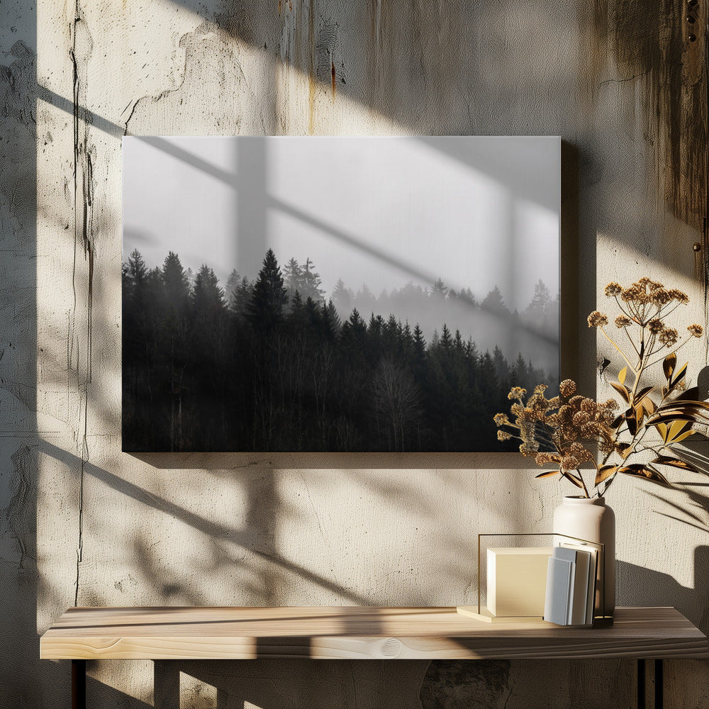 Nebliger Wald 7 | Leinwand