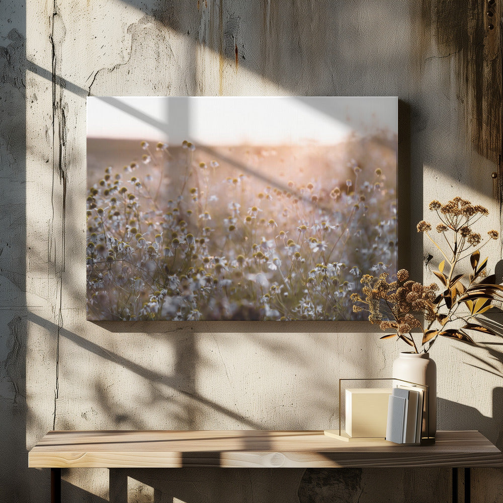 Sommermorgen 7 | Leinwand