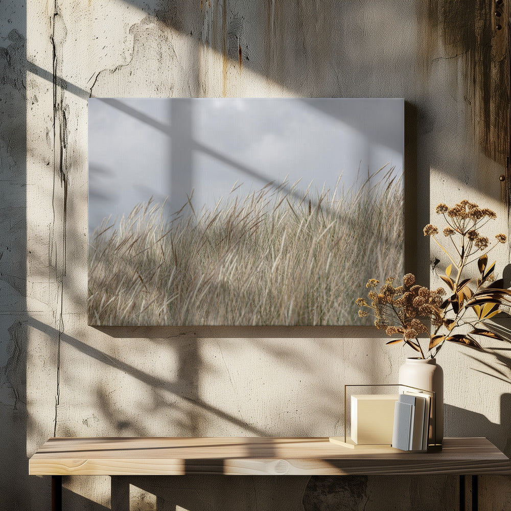 Dünen und Wolken | Leinwand