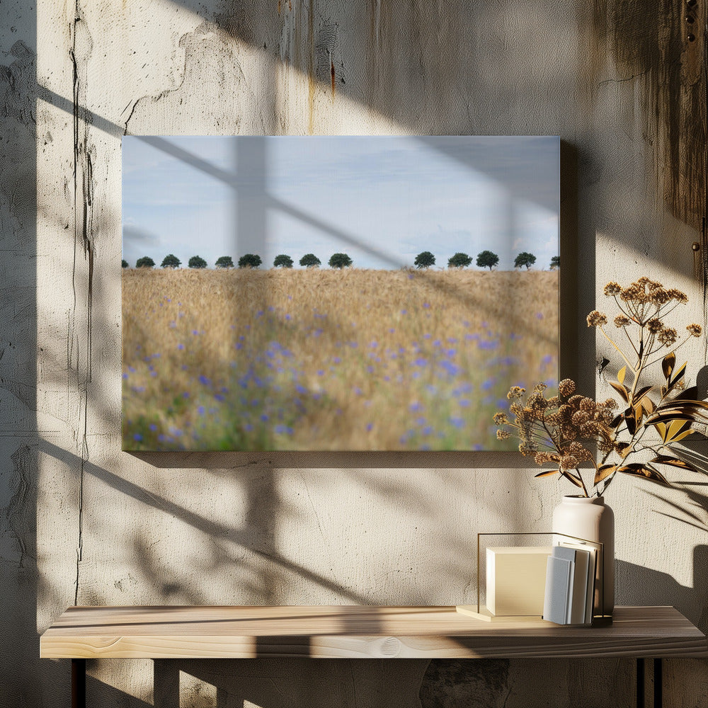 Nordische Momente 4 | Leinwand