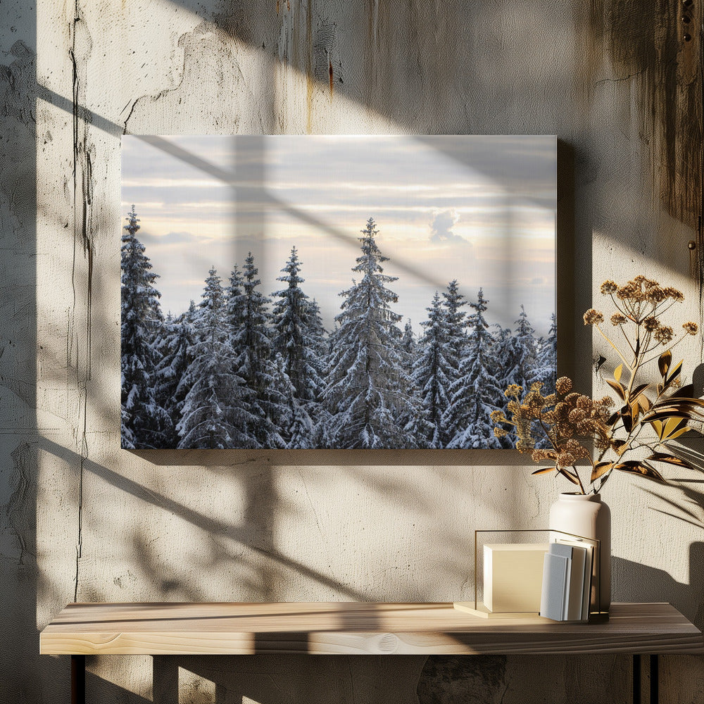 Schneebedeckte Bäume 8 | Leinwand